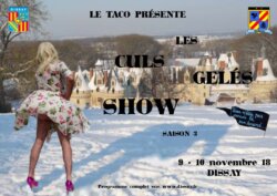 Affiche du festival des culs gelés show 2018